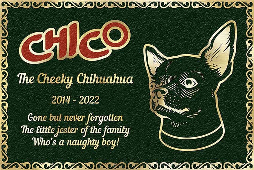 Bronze pet plaque for chihuahua with 2 colours