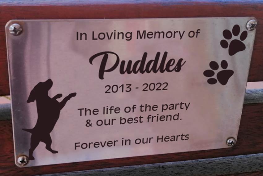 Stainless steel bench plaque for small pet dog