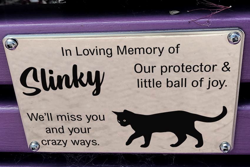 Stainless steel bench pet plaque for cat