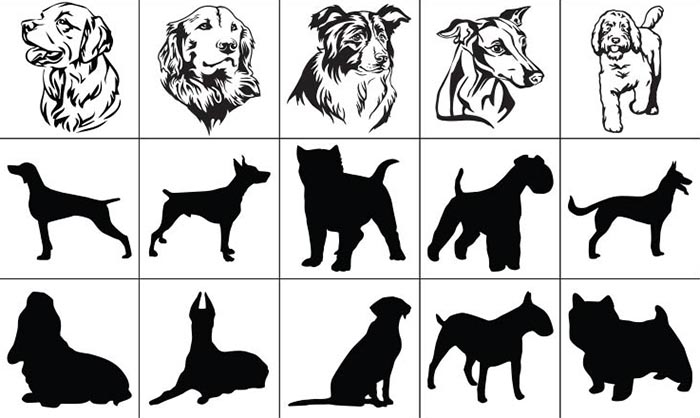 dog motif samples